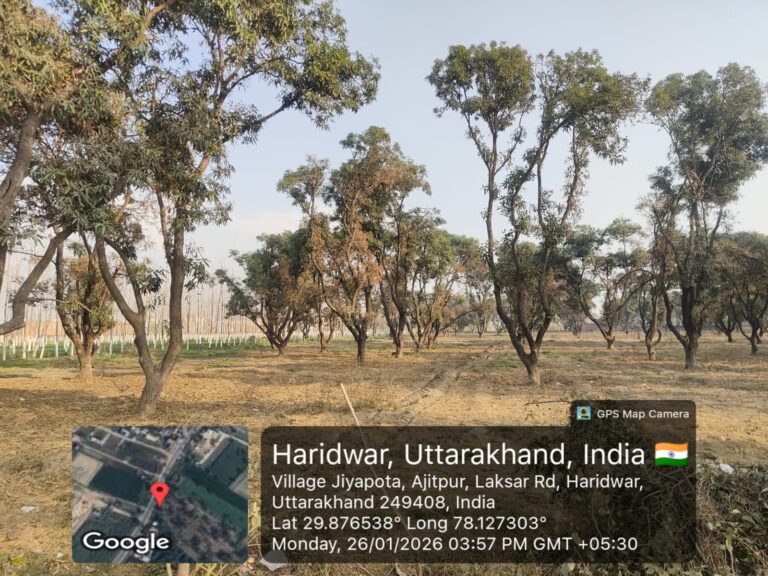 अवैध कॉलोनियों के लालच में पर्यावरण पर प्रहार।।